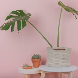 Basic Basket
