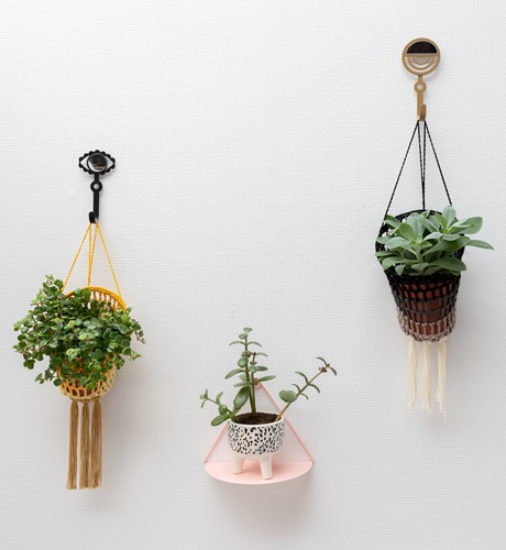 A4 PDF Must-Have Plant Holder