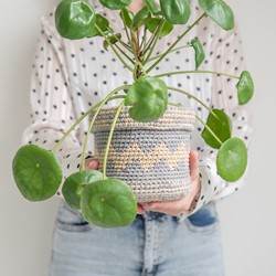 Basic Plant Baskets