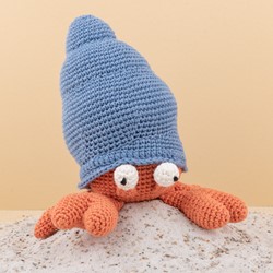 Brendan the Hermit Crab