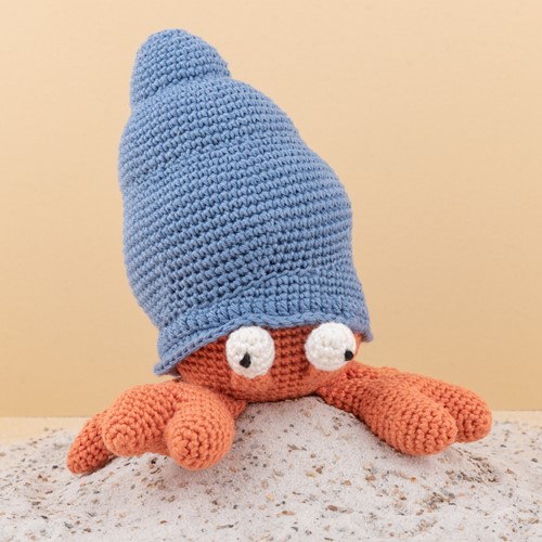 Brendan the Hermit Crab