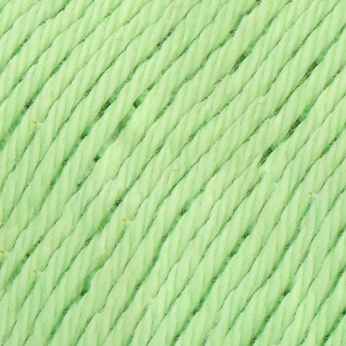 Must-have 081 Lettuce