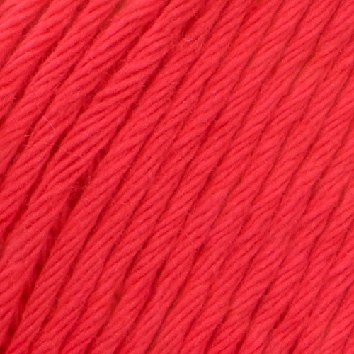 Epic 031 Cardinal